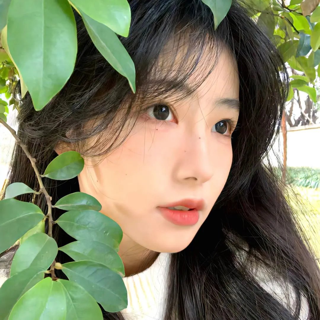 《折翼蝴蝶》